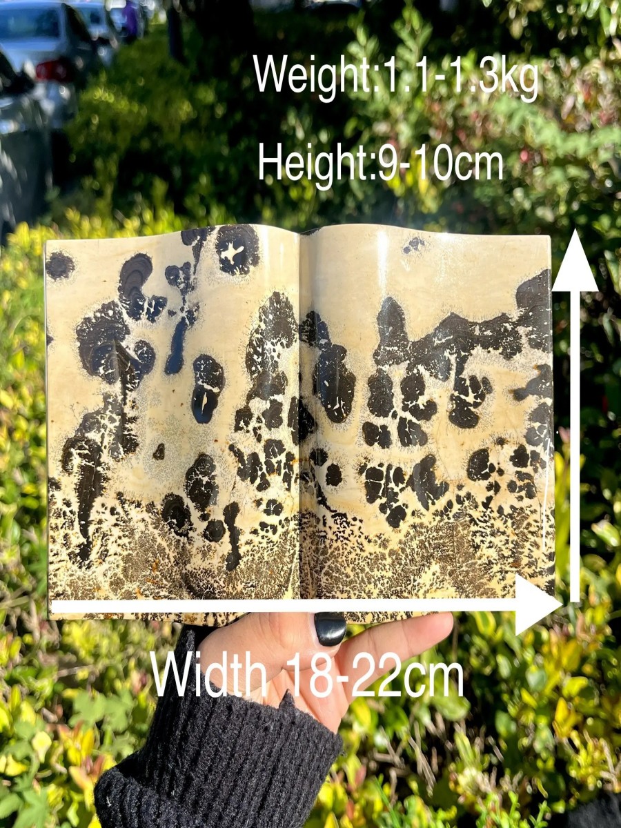 Picture Jasper Stone Open Book Sculpture for Office Décor & Inspiration - Image 2
