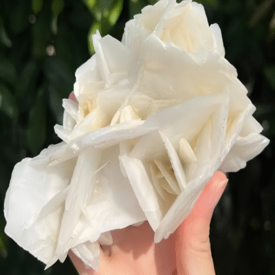 White Calcite Crystal Rose Cluster | ArvnDao Natural Healing Stone for Peace, Clarity & Energy Purification
